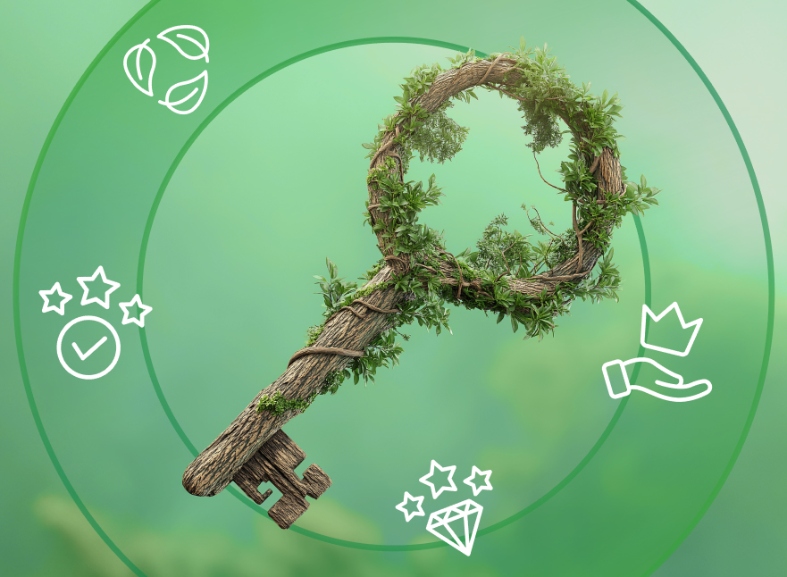 الاستدامة والممارسات البيئية والاجتماعية وحوكمة الشركات