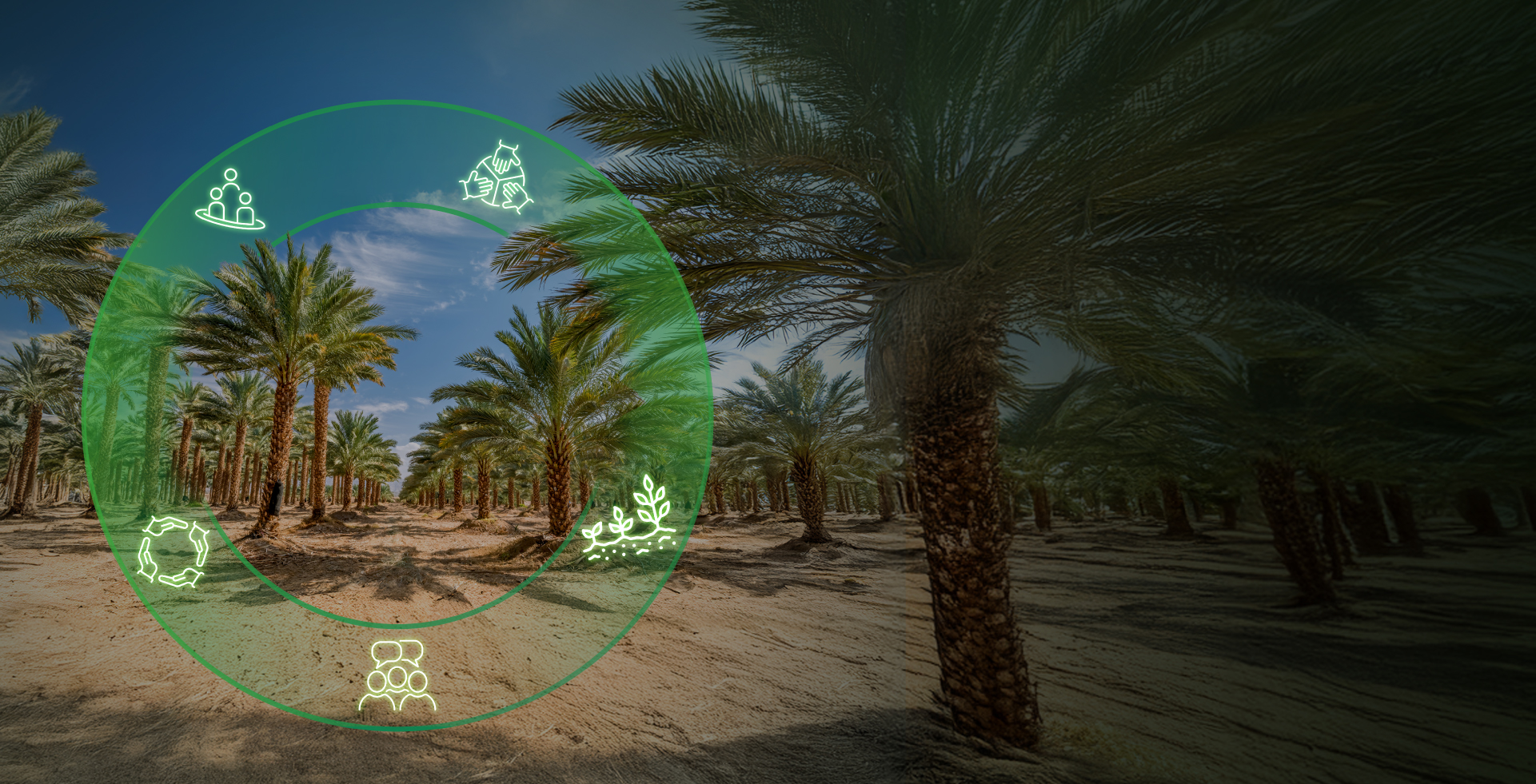 المشتريات المجتمعية والمحلية