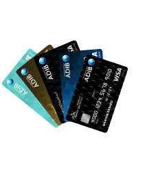 Visa Card